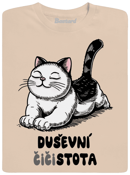 Duševní čistota