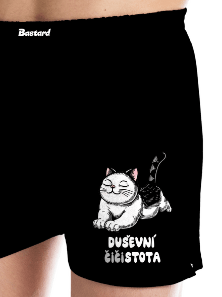 Duševní čistota