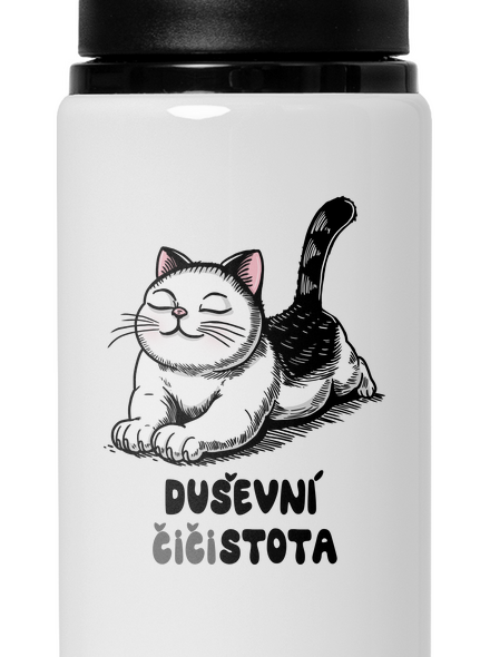Duševní čistota
