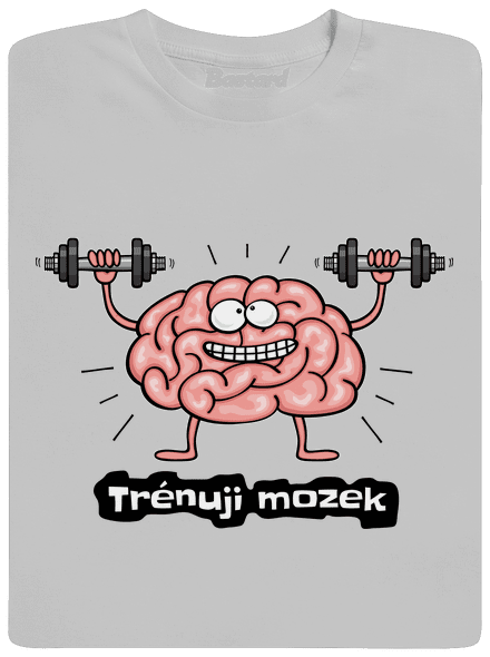 Trénuji mozek