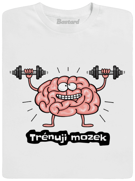 Trénuji mozek