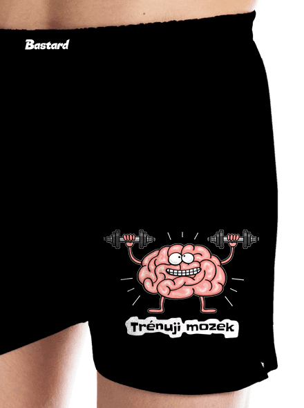 Trénuji mozek