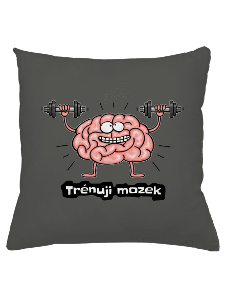 Trénuji mozek