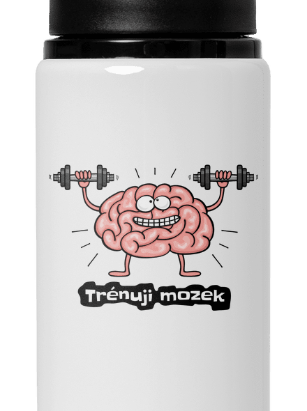 Trénuji mozek