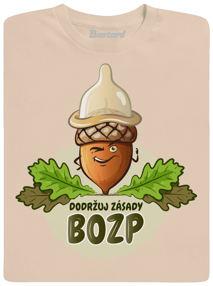 Zásady BOZP