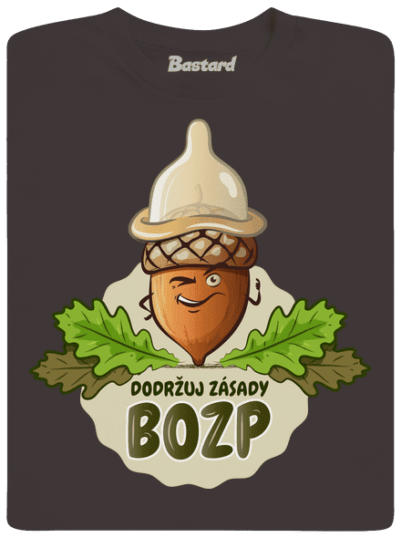 Zásady BOZP