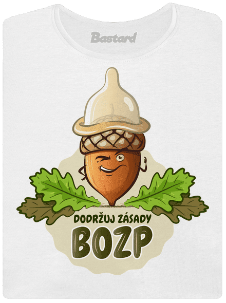 Zásady BOZP