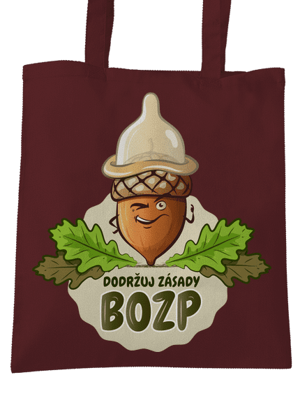 Zásady BOZP