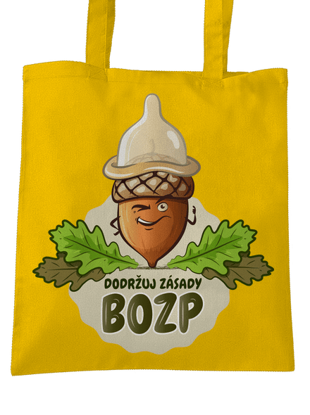 Zásady BOZP