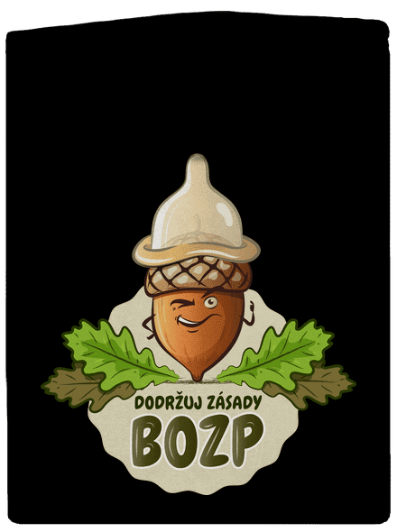 Zásady BOZP