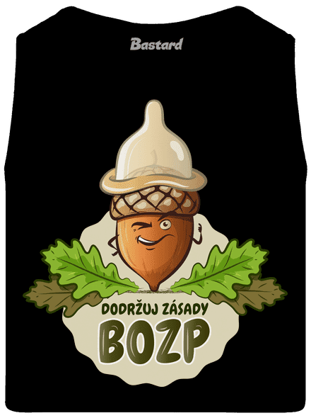 Zásady BOZP