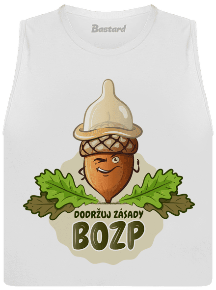 Zásady BOZP