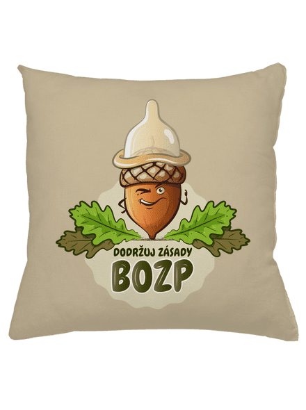 Zásady BOZP