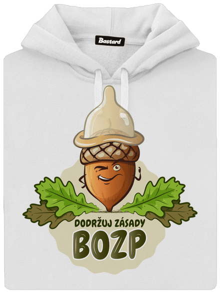 Zásady BOZP
