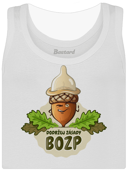 Zásady BOZP