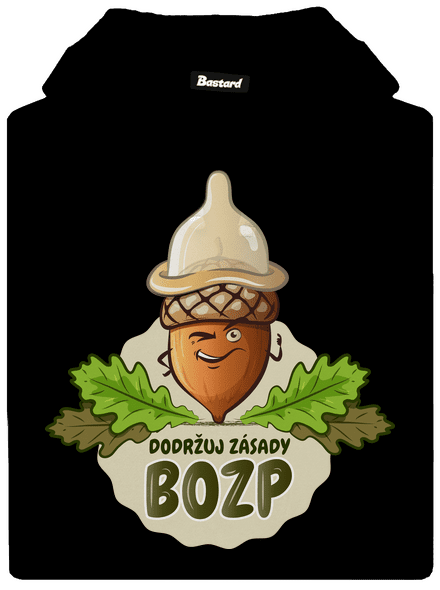 Zásady BOZP