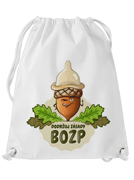Zásady BOZP