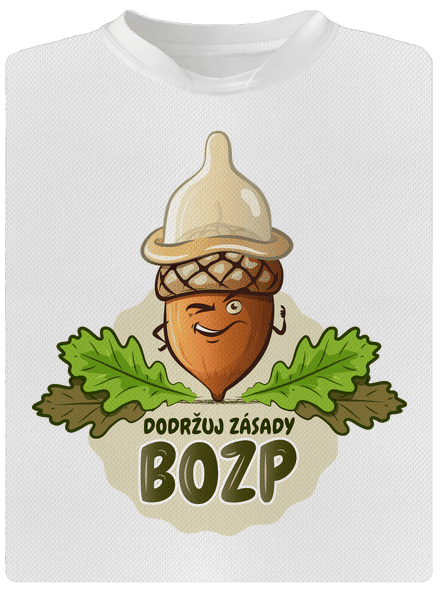 Zásady BOZP