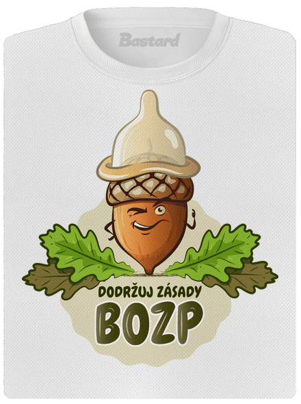 Zásady BOZP