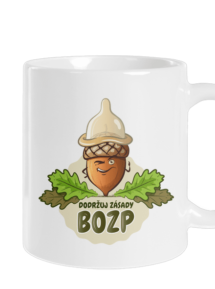 Zásady BOZP