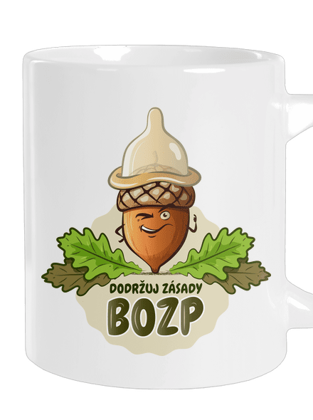 Zásady BOZP