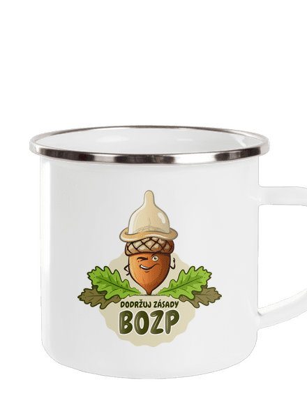 Zásady BOZP