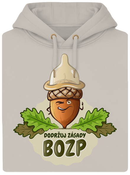 Zásady BOZP