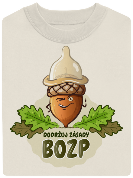 Zásady BOZP