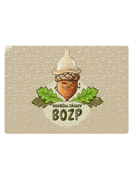 Zásady BOZP