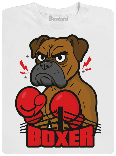 Boxer