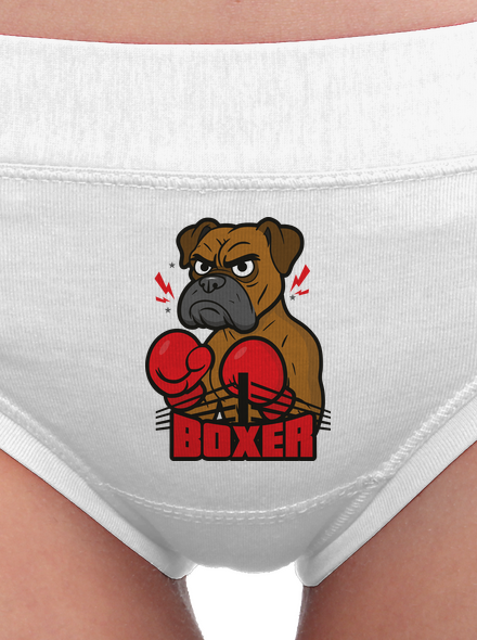 Boxer