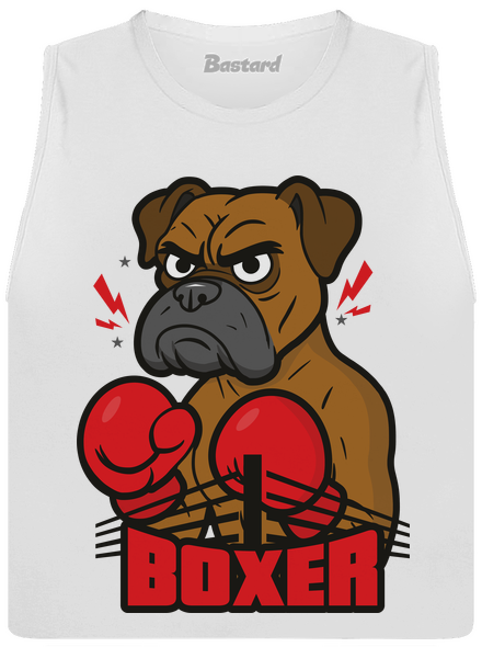 Boxer