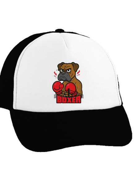 Boxer
