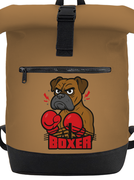 Boxer