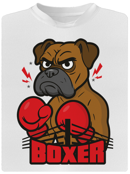 Boxer