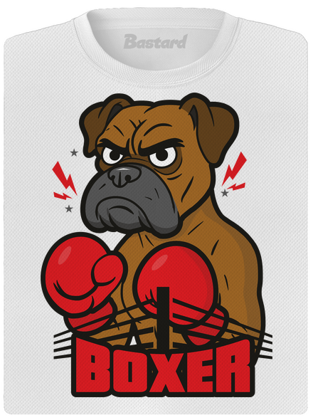 Boxer