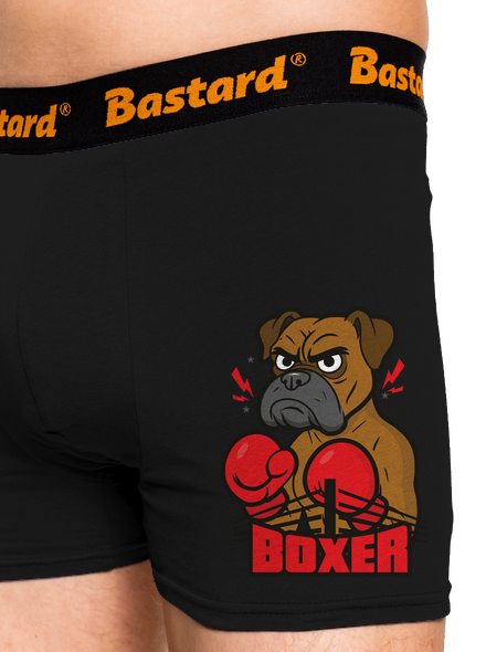 Boxer