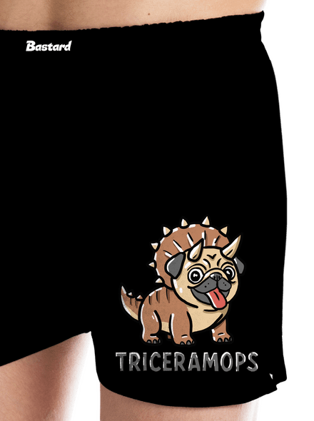 Triceramops
