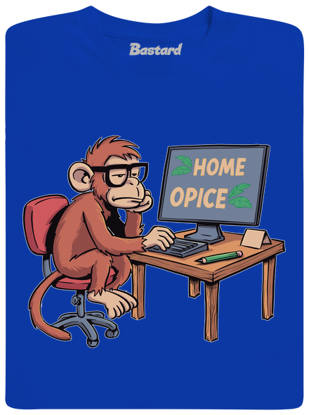 Home opice
