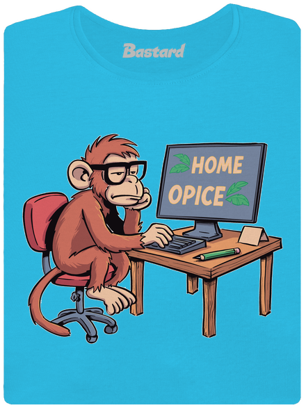 Home opice