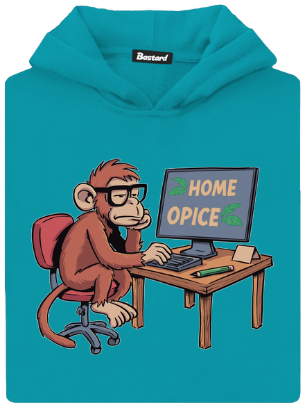 Home opice