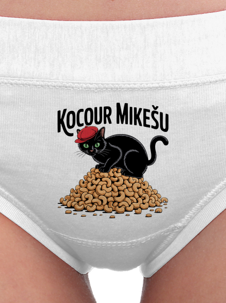 Kocour Mikešu