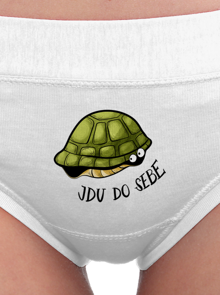 Jdu do sebe
