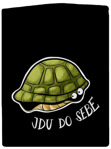 Jdu do sebe