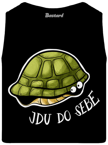 Jdu do sebe