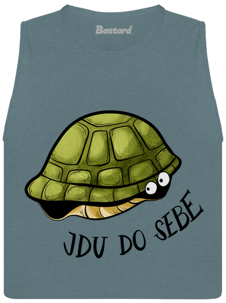 Jdu do sebe