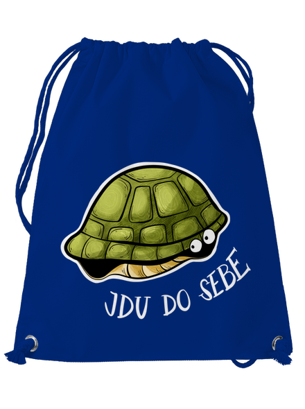 Jdu do sebe