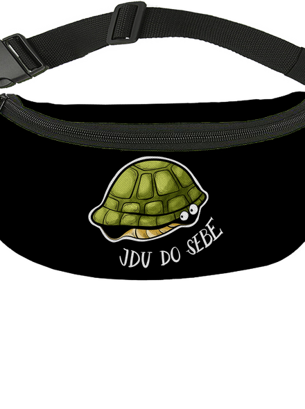 Jdu do sebe