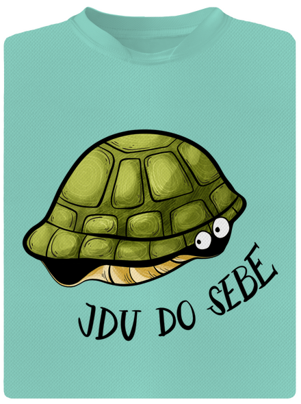 Jdu do sebe