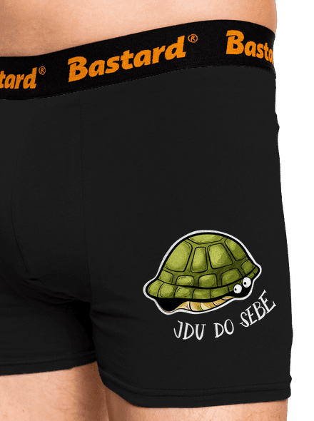 Jdu do sebe